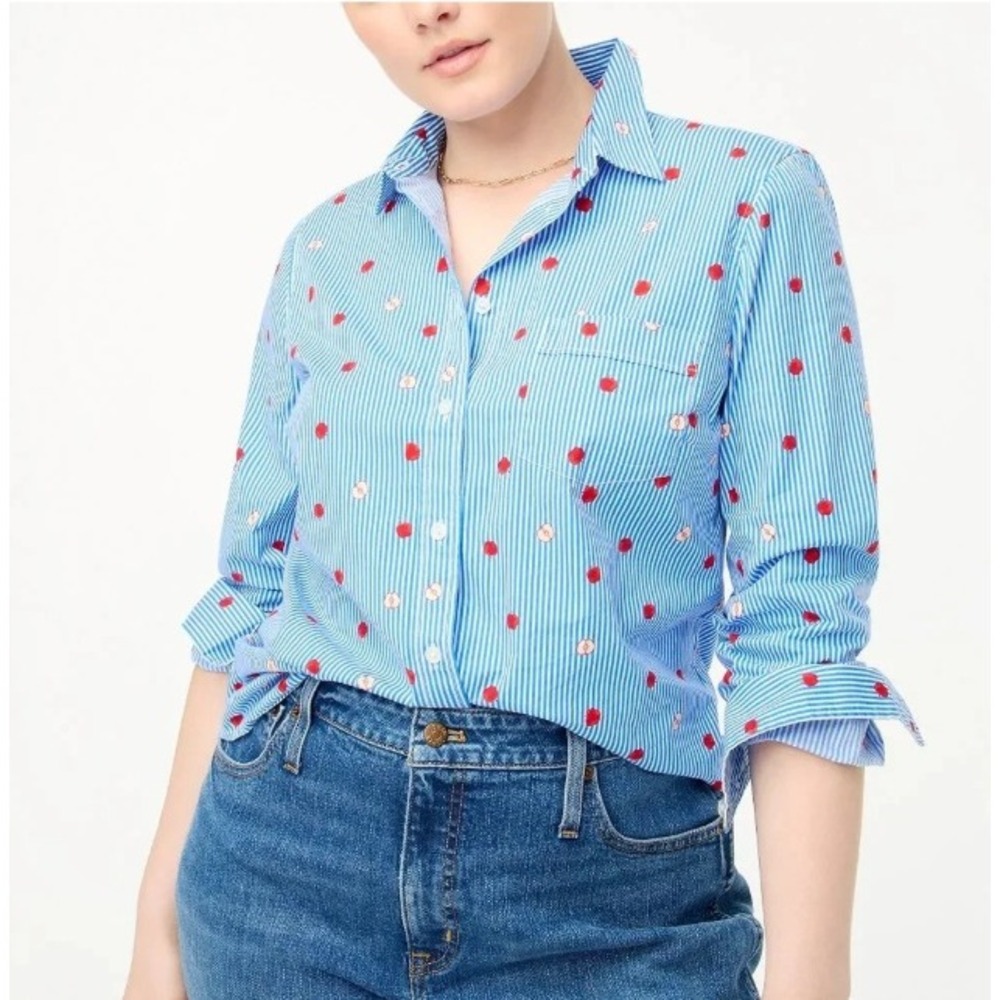 J.Crew Cotton poplin Shirt in signature fit Apple Women 3X Preppy Novelty
